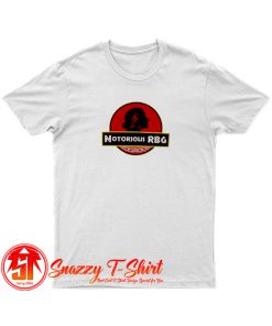 Notorious RBG T Shirt