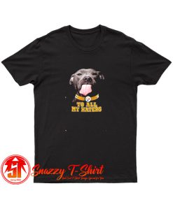 Pittsburgh Steelers To All My Haters T Shirt
