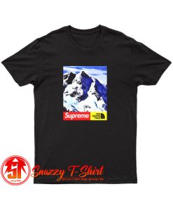 Supreme X The North Face Mountain T Shirt
