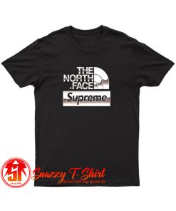 Supreme x The North Face Metallic T Shirt