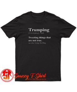 Trumping Definition T Shirt