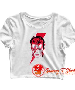 David Bowie Aladdin Sane Rock Album Crop Top Shirt