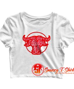 Dior x Shawn Stussy Chinese New Year Crop Top Shirt