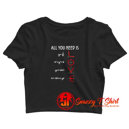 Love Equation Crop Top Shirt