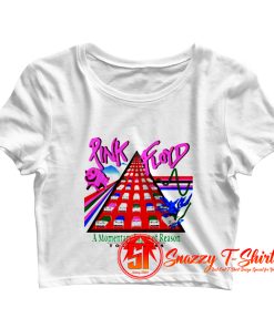 Pink Floyd Momentary Lapse of Reason Crop Top Shirt