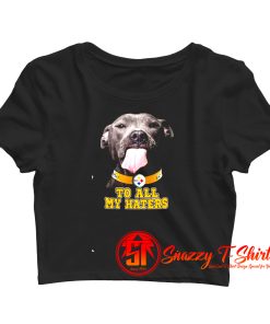 Pittsburgh Steelers To All My Haters Crop Top Shirt